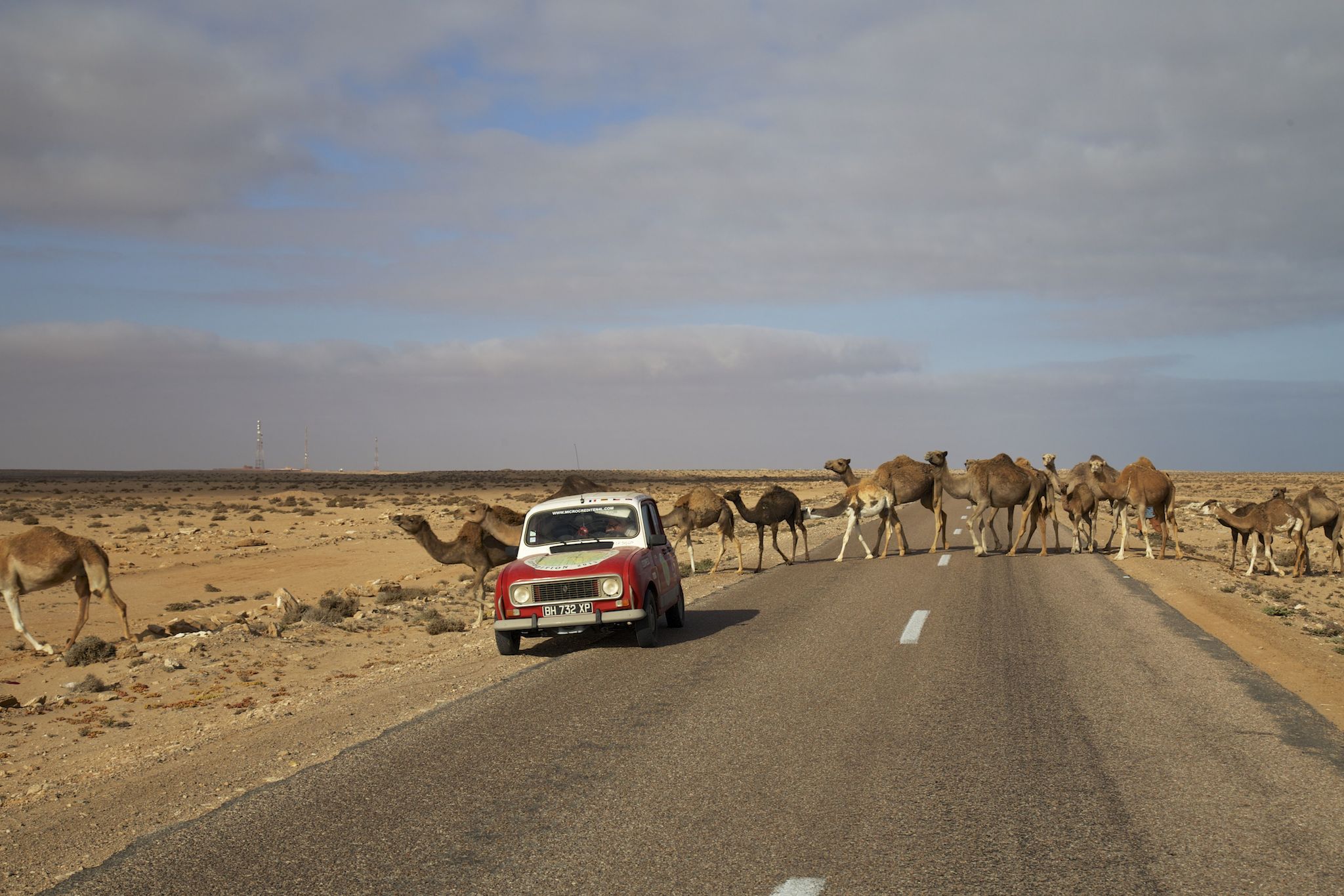 IMG_8595